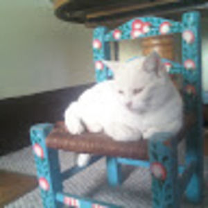 Meet your Posher, Alison